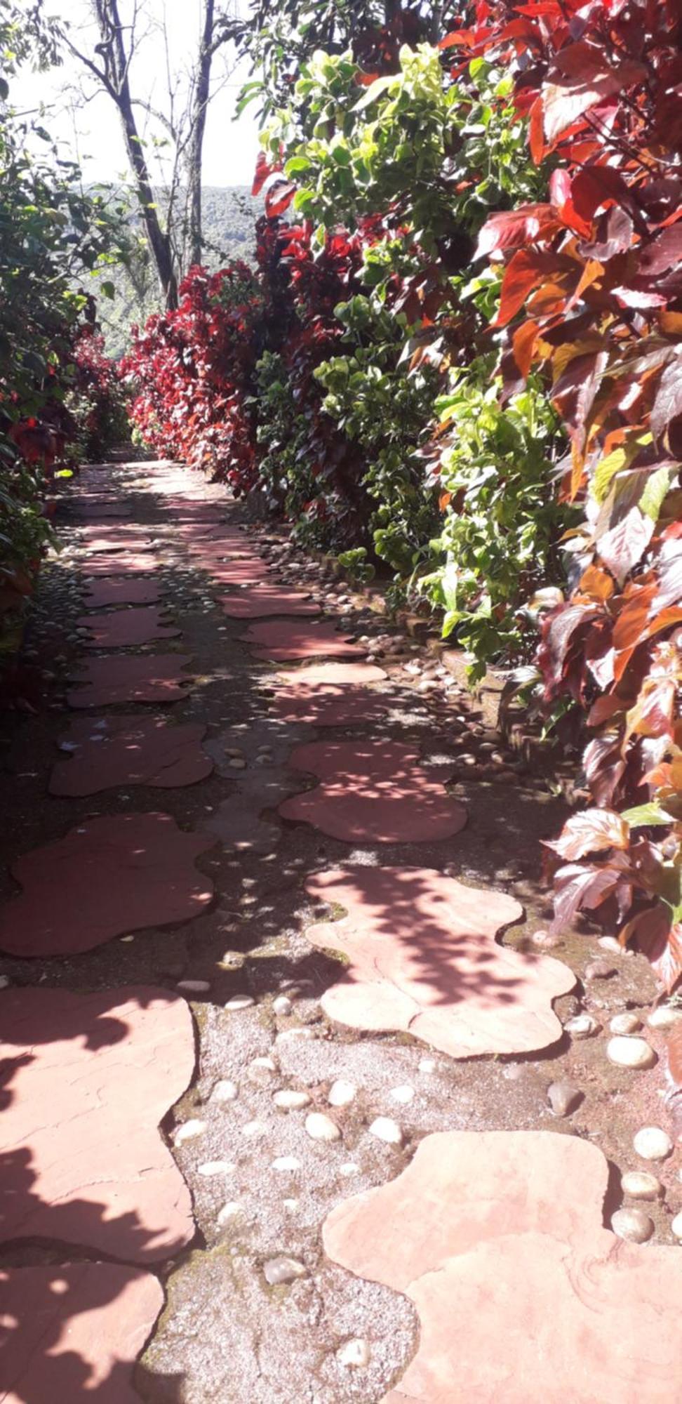 Strawberry Country Villa Mahābaleshwar Værelse billede